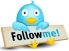 twitter-follow-button