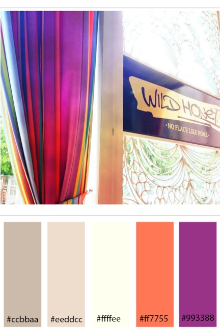 Colour Inspiration Wild Honey Scotts